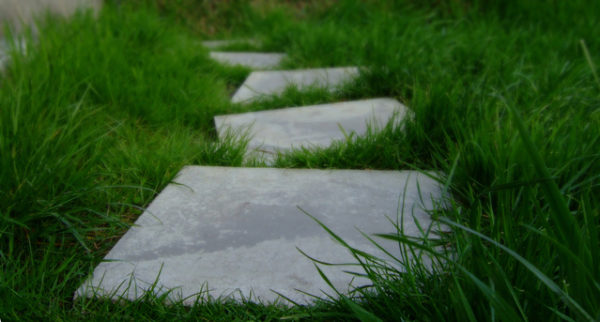 stepping-stones