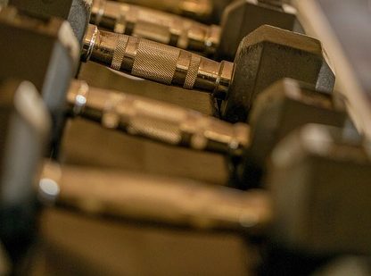 lvladikov-activity-7145032_640