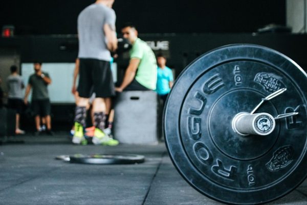 fit_lead_training-weightlifting-8276951_640